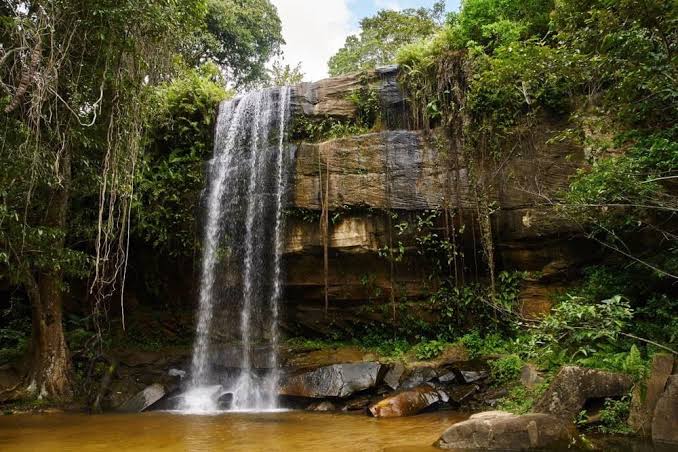 Shimba Hills Game Reserve
